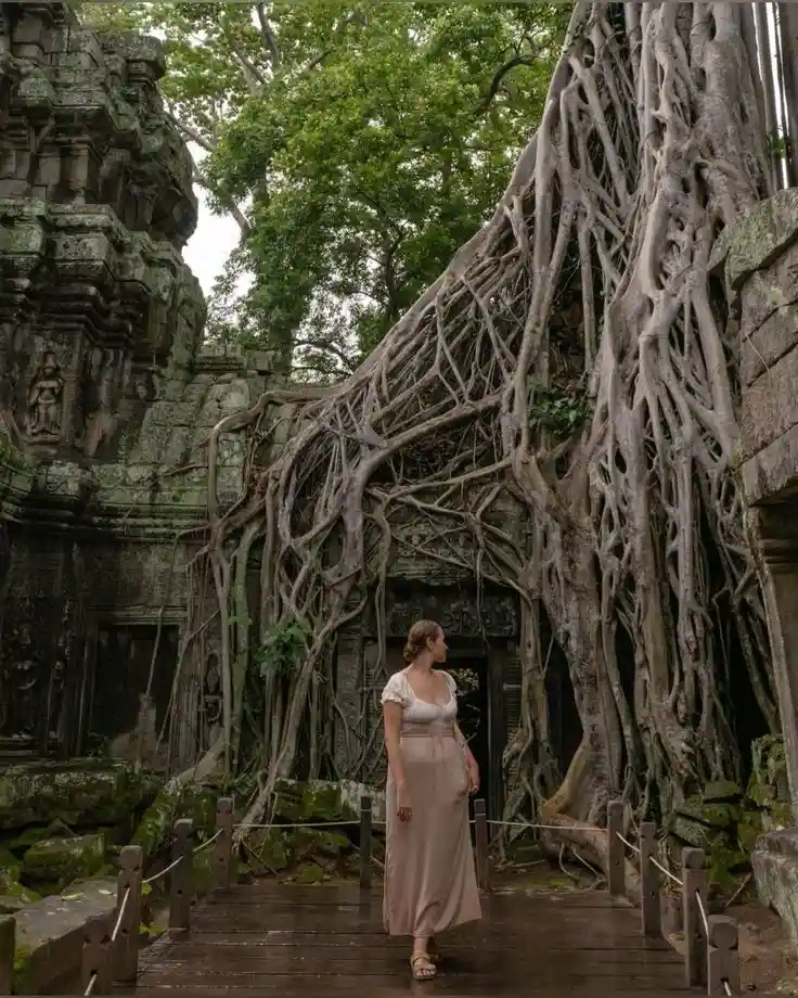 Ta Prohm Temple